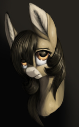 Size: 3107x4968 | Tagged: safe, artist:splatterpaint-donkey, oc, oc only, oc:splatterpaint, donkey, bust, donkey oc, female, gradient background, jenny, solo