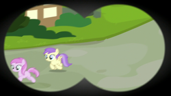 Size: 1920x1080 | Tagged: safe, screencap, g4, the maud couple, binoculars, female, filly, first person view, offscreen character, pov