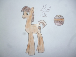 Size: 4320x3240 | Tagged: safe, artist:thr3eguess3s, oc, oc only, oc:mud pie, earth pony, pony, male, offspring, parent:maud pie, parent:mud briar, parents:maudbriar, solo, stallion, traditional art