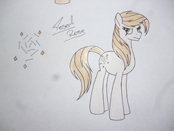 Size: 4320x3240 | Tagged: safe, artist:thr3eguess3s, oc, oc only, oc:desert rose, earth pony, pony, female, mare, offspring, parent:maud pie, parent:mud briar, parents:maudbriar, solo, traditional art