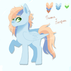 Size: 1800x1800 | Tagged: safe, artist:kittii-kat, oc, oc only, pegasus, pony, female, mare, offspring, parent:soarin', parent:spitfire, parents:soarinfire, raised hoof, reference sheet, solo