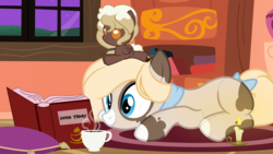 Size: 9375x5272 | Tagged: safe, artist:besttubahorse, oc, oc only, oc:cappuccino blanket, oc:sweet mocha, original species, plush pony, 16:9, absurd resolution, book, bookshelf, candle, carpet, clothes, coffee cup, cup, cushion, female, lying down, night, plushie, plushie hat, reading, scarf, solo, tail bow, vector, window