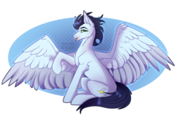 Size: 2786x1856 | Tagged: safe, artist:orealnight, soarin', pony, g4, male, old cutie mark, simple background, solo, transparent background