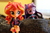 Size: 6000x4000 | Tagged: safe, artist:artofmagicpoland, sunset shimmer, twilight sparkle, equestria girls, g4, doll, equestria girls minis, female, lesbian, ship:sunsetsparkle, shipping, toy