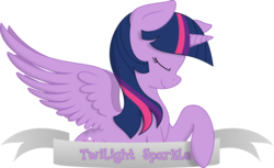 Size: 4964x3033 | Tagged: safe, artist:kopcap94, artist:php27, color edit, edit, vector edit, twilight sparkle, alicorn, pony, g4, banner, colored, cutie mark, eyes closed, female, high res, mare, profile, simple background, smiling, solo, spread wings, transparent background, twilight sparkle (alicorn), vector, wings