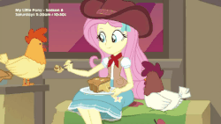 Size: 450x253 | Tagged: safe, screencap, fluttershy, chicken, equestria girls, five to nine, g4, my little pony equestria girls: better together, animal, animated, blouse, clothes, cowboy hat, cowgirl, cute, feeding, female, hat, shirt, shyabetes, sitting, skirt, smiling, stetson, vest