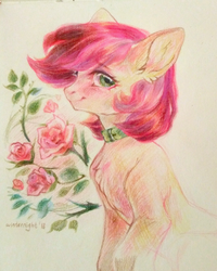 Size: 1729x2160 | Tagged: safe, artist:winternight2015, edit, roseluck, earth pony, pony, g4, chest fluff, collar, commissioner:doom9454, cute, ear fluff, female, flower, fluffy, mare, pony pet, rose, rosepet, solo, traditional art