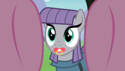Size: 1920x1080 | Tagged: safe, edit, edited screencap, screencap, maud pie, pinkie pie, g4, the maud couple, first person view, hooves, offscreen character, pacifier, pov
