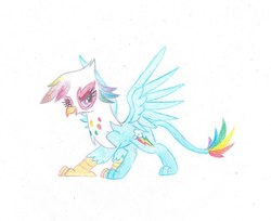 Size: 604x492 | Tagged: safe, artist:pony-paint, rainbow dash, griffon, g4, female, griffonized, open mouth, rainbow griffon, simple background, solo, species swap, spread wings, traditional art, white background, wings