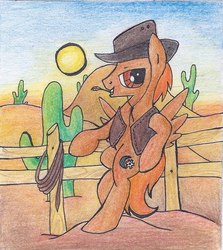 Size: 538x604 | Tagged: safe, artist:pony-paint, oc, oc only, oc:calamity, pegasus, pony, fallout equestria, bipedal, bipedal leaning, cactus, clothes, cutie mark, desert, fence, hat, leaning, male, solo, stallion, vest, wrong cutie mark