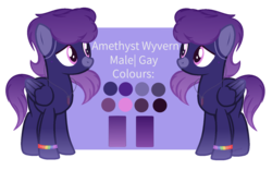 Size: 1600x1000 | Tagged: safe, artist:venomns, oc, oc only, oc:amethyst wyvern, pegasus, pony, male, reference sheet, simple background, solo, stallion, transparent background