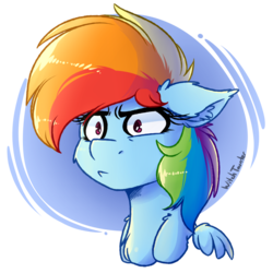 Size: 1024x1024 | Tagged: safe, artist:witchtaunter, rainbow dash, pegasus, pony, bust, confused, female, floppy ears, mare, signature, simple background, solo, transparent background, white background, wings