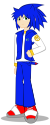 Size: 1753x4357 | Tagged: safe, artist:trungtranhaitrung, equestria girls, g4, crossover, equestria girls-ified, male, simple background, solo, sonic the hedgehog, sonic the hedgehog (series), transparent background