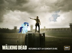 Size: 1600x1199 | Tagged: safe, soarin', g4, rick grimes, the walking dead