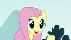 Size: 902x508 | Tagged: safe, edit, edited screencap, editor:zeppo, screencap, fluttershy, pegasus, pony, g4, school daze, animated, cute, exploitable, female, fluttershy throwing things, grin, mare, open mouth, shyabetes, smiling, solo, talking, template, throwing