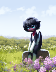 Size: 2282x2931 | Tagged: safe, artist:aphphphphp, oc, oc only, bird pone, pegasus, pony, swallow (bird), coat markings, female, floppy ears, flower, grass, high res, looking up, mare, pale belly, rock, scenery, sitting, sky, socks (coat markings), solo