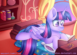 Size: 1023x731 | Tagged: safe, artist:calamity-studios, twilight sparkle, alicorn, pony, g4, bed, bedroom, book, bookshelf, cutie mark, female, golden oaks library, lying down, mare, pillow, reading, solo, stars, twilight (astronomy), twilight sparkle (alicorn), window
