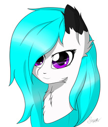 Size: 1800x2118 | Tagged: safe, artist:drarkusss0, oc, oc only, pony, amino, bust, commission, flat colors, portrait, solo