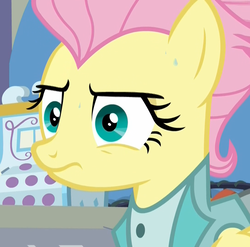 Size: 1093x1080 | Tagged: safe, screencap, fluttershy, pony, fake it 'til you make it, g4, :s, cash register, cropped, female, mare, nervous, rarity for you, reaction image, severeshy, solo, sweat, wavy mouth, wide eyes