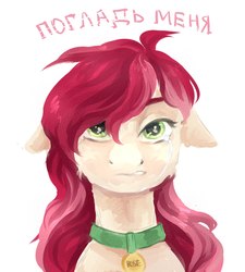 Size: 1800x2000 | Tagged: artist needed, safe, roseluck, pony, g4, bust, commissioner:doom9454, crying, cyrillic, female, floppy ears, pet tag, pony pet, portrait, rosepet, russian, sad, solo, text, translated in the description
