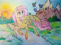 Size: 1026x770 | Tagged: safe, artist:pony-paint, fluttershy, butterfly, pegasus, pony, g4, female, looking back, mare, mountain, sunset, traditional art, unshorn fetlocks