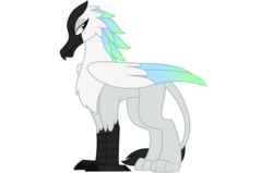 Size: 1260x800 | Tagged: safe, artist:faith-wolff, oc, oc only, oc:ziz, griffon, colored wings, colored wingtips, griffonized, multicolored wings, paws, ponified, ponified oc, simple background, solo, species swap, white background, ziz