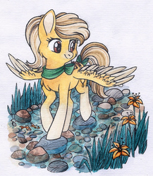 Size: 943x1086 | Tagged: safe, artist:red-watercolor, oc, oc only, oc:lemon drop, pegasus, pony, bow, cheek fluff, chest fluff, creek, cute, female, flower, gradient hooves, mare, simple background, solo, spread wings, tail bow, traditional art, watercolor painting, white background, wings