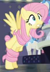 Size: 476x689 | Tagged: safe, screencap, fluttershy, pony, fake it 'til you make it, g4, bipedal, cropped, female, solo, tangled up