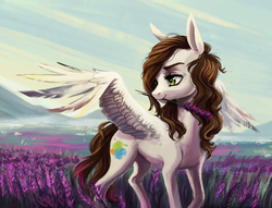 Size: 1140x872 | Tagged: safe, artist:weird--fish, oc, oc only, oc:drew, pegasus, pony, beautiful, female, field, lavender, mare, mouth hold, scenery, scenery porn, solo