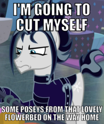 Size: 503x600 | Tagged: safe, edit, edited screencap, screencap, snow hope, earth pony, pony, fake it 'til you make it, g4, bait and switch, caption, clothes, cropped, cutting, emo, goth pony, image macro, jacket, leather jacket, male, meme, solo, stallion, text