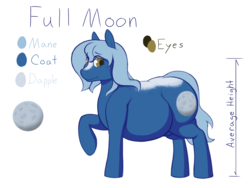 Size: 1600x1200 | Tagged: safe, artist:heftyhorsehostler, oc, oc only, oc:full moon, earth pony, pony, :t, a changeling's guide to large horse care, chubby, coat markings, colored pupils, dappled, fat, female, looking at you, mare, raised hoof, reference sheet, simple background, smiling, solo, tall, white background