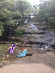 Size: 1024x1371 | Tagged: safe, artist:didgereethebrony, rainbow dash, twilight sparkle, alicorn, pony, g4, australia, blue mountains, didgeree collection, irl, katoomba, mlp in australia, photo, ponies in real life, twilight sparkle (alicorn), waterfall, wet mane