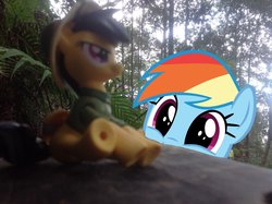 Size: 1024x765 | Tagged: safe, artist:didgereethebrony, daring do, rainbow dash, g4, bench, blue mountains, cute, dashabetes, fangirl, figure, figurine, happy, irl, katoomba, mlp in australia, obsessed, obsession, photo, photobomb, ponies around the world, ponies in real life, smiling, squee, toy