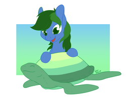 Size: 1024x800 | Tagged: safe, artist:gracewolf, oc, oc only, oc:dormant flame, pony, turtle, male, solo, stallion