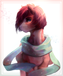 Size: 1704x2056 | Tagged: safe, artist:mich-art, oc, oc only, earth pony, pony, abstract background, clothes, coat markings, looking at you, looking sideways, scarf, solo