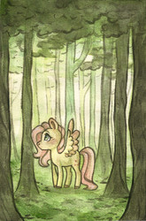 Size: 693x1049 | Tagged: safe, artist:twixyamber, fluttershy, pegasus, pony, g4, female, forest, looking away, looking up, mare, solo, spread wings, traditional art, tree, wings