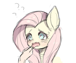 Size: 700x579 | Tagged: safe, artist:nitronic, fluttershy, human, pony, g4, blushing, bust, confused, cute, hand, portrait, question mark, simple background, sweatdrop, tongue holding, tongue out, white background