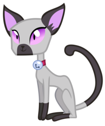 Size: 5000x6000 | Tagged: safe, artist:reginault, cat, siamese cat, g4, pinkie apple pie, .svg available, absurd resolution, animal, bell, bell collar, collar, goldie delicious' cats, purple eyes, simple background, solo, transparent background, vector