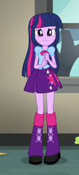 Size: 325x714 | Tagged: safe, screencap, spike, twilight sparkle, alicorn, dog, equestria girls, g4, my little pony equestria girls: rainbow rocks, clothes, cropped, female, leg warmers, offscreen character, pleated skirt, sad, shoes, skirt, spike the dog, twilight sparkle (alicorn)