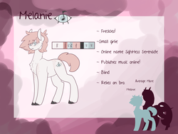 Size: 3000x2250 | Tagged: safe, artist:liefsong, oc, oc only, oc:melanie, earth pony, pony, blind, freckles, high res, reference sheet