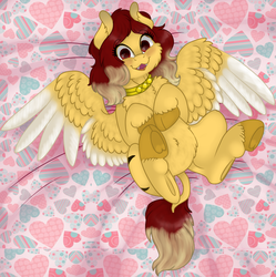 Size: 720x722 | Tagged: safe, artist:69beas, oc, oc only, oc:jessie feuer, pegasus, pony, bed, belly fluff, chest fluff, collar, colored hooves, cute, digital art, fangs, female, frog (hoof), happy, leonine tail, lying down, lying on bed, open mouth, smiling, solo, spread wings, underhoof, unshorn fetlocks, wings