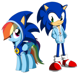 Size: 2480x2333 | Tagged: safe, artist:az-derped-unicorn, rainbow dash, g4, clothes, cosplay, costume, crossover, cute, dashabetes, high res, hoodie, male, sonic the hedgehog, sonic the hedgehog (series)
