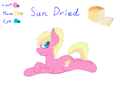 Size: 4000x3000 | Tagged: safe, artist:eyeburn, oc, oc only, oc:sun dried, earth pony, pony, bread, food, reference sheet, simple background, transparent background