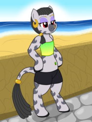 Size: 3000x4000 | Tagged: safe, alternate version, artist:theonewithoutaname, oc, oc only, oc:desta, zebra, semi-anthro, alternate clothes, arm hooves, beach, belly button, belly piercing, bellyring, bipedal, breasts, chestbreasts, clothes, colored hooves, compression shorts, delicious flat chest, ear piercing, earring, eyebrow piercing, female, foal, jewelry, nose piercing, nose ring, ocean, piercing, red eyes, solo, summer, tail, tail wrap, tube top, zebra oc