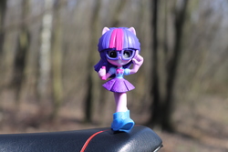Size: 6000x4000 | Tagged: safe, artist:artofmagicpoland, sci-twi, twilight sparkle, equestria girls, g4, my little pony equestria girls: better together, cute, doll, equestria girls minis, irl, photo, photography, solo, toy, twiabetes