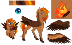 Size: 2843x1791 | Tagged: safe, artist:askbubblelee, oc, oc only, oc:singe, pegasus, pony, body freckles, facial hair, freckles, goatee, male, reference sheet, show accurate, simple background, smiling, solo, stallion, tail feathers, transparent background