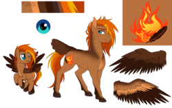 Size: 2843x1791 | Tagged: safe, artist:askbubblelee, oc, oc only, oc:singe, pegasus, pony, body freckles, facial hair, freckles, goatee, male, missing wing, reference sheet, show accurate, simple background, smiling, solo, stallion, tail feathers, transparent background