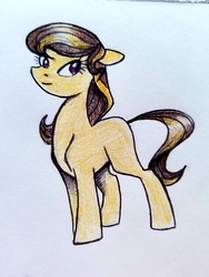 Size: 3024x4032 | Tagged: safe, artist:smirk, oc, oc only, pony, solo, traditional art
