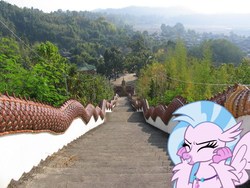 Size: 1000x750 | Tagged: safe, silverstream, classical hippogriff, dragon, hippogriff, g4, school daze, cute, diastreamies, excited, female, grin, irl, photo, ponies in real life, smiling, solo, squee, stairs, stairs are awesome, that hippogriff sure does love stairs