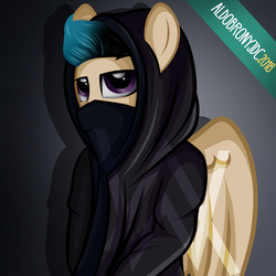 Size: 3000x3000 | Tagged: safe, artist:aldobronyjdc, oc, oc only, pegasus, pony, clothes, high res, hoodie, solo